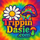 trippindasie logo