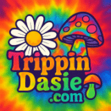 trippindasie logo